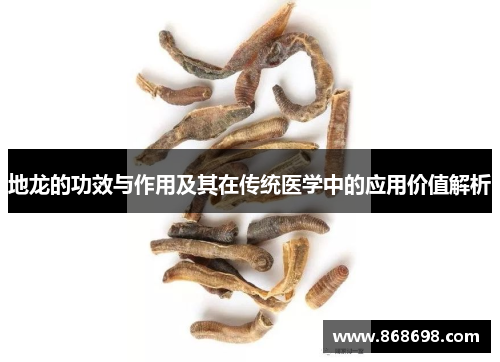 地龙的功效与作用及其在传统医学中的应用价值解析