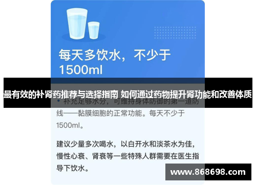 最有效的补肾药推荐与选择指南 如何通过药物提升肾功能和改善体质
